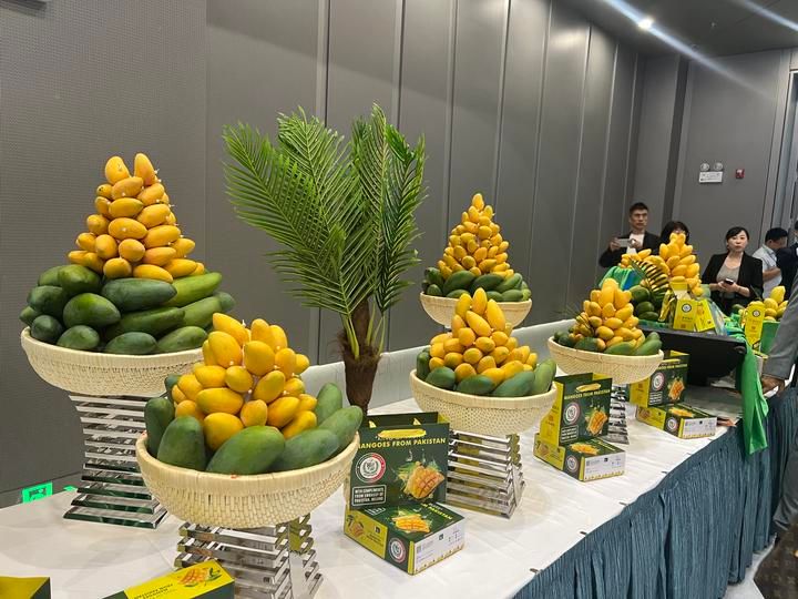 巴基斯坦驻华大使馆在京举办巴基斯坦芒果节