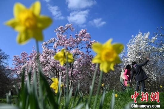 英国伦敦皇家植物园繁花似锦 游客徜徉花海