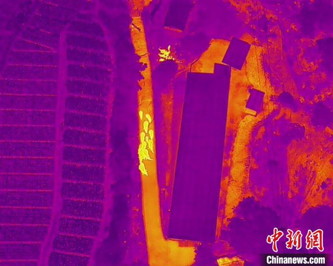 云南北移象群总体向东南方向移动 人象平安