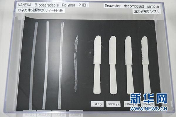 日本研发出不用牙膏的牙刷和海水可降解塑料