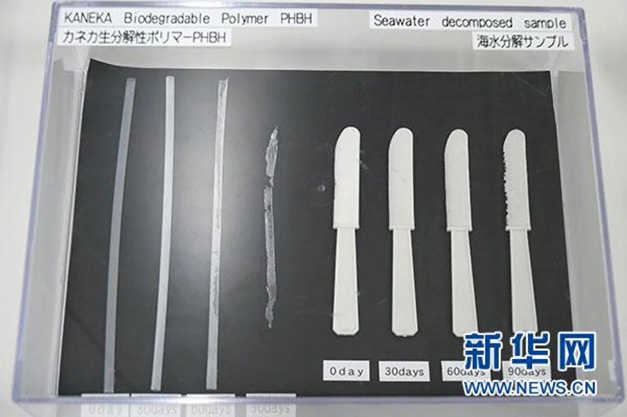 日本研发出不用牙膏的牙刷和海水可降解塑料