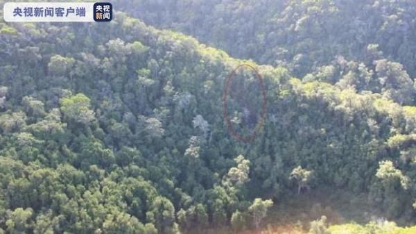 夏威夷观光直升机坠毁致7人死亡，除飞行员外均为瑞士游客