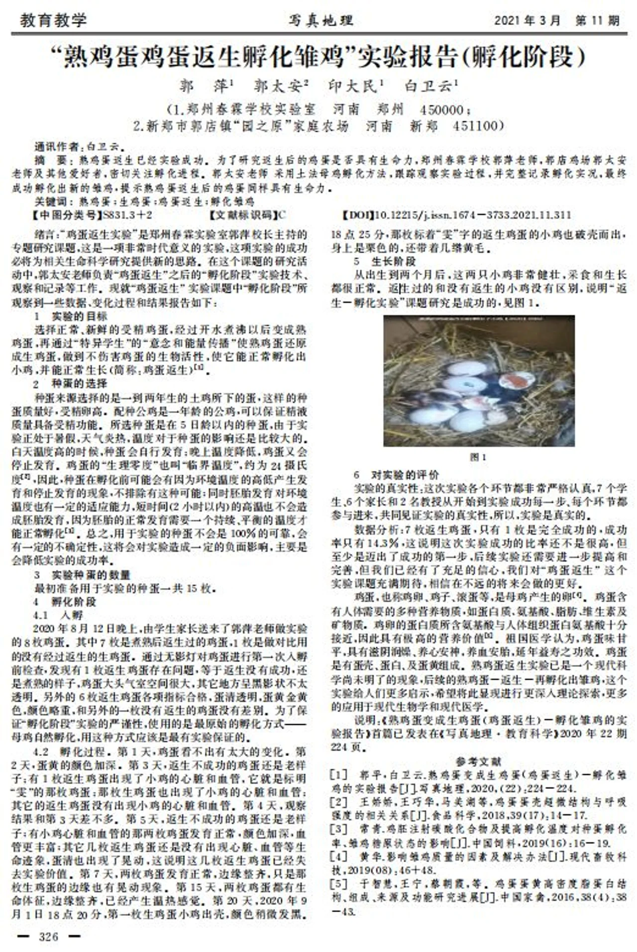 用意念返生?河南一校长熟鸡蛋返生孵小鸡论文引热议