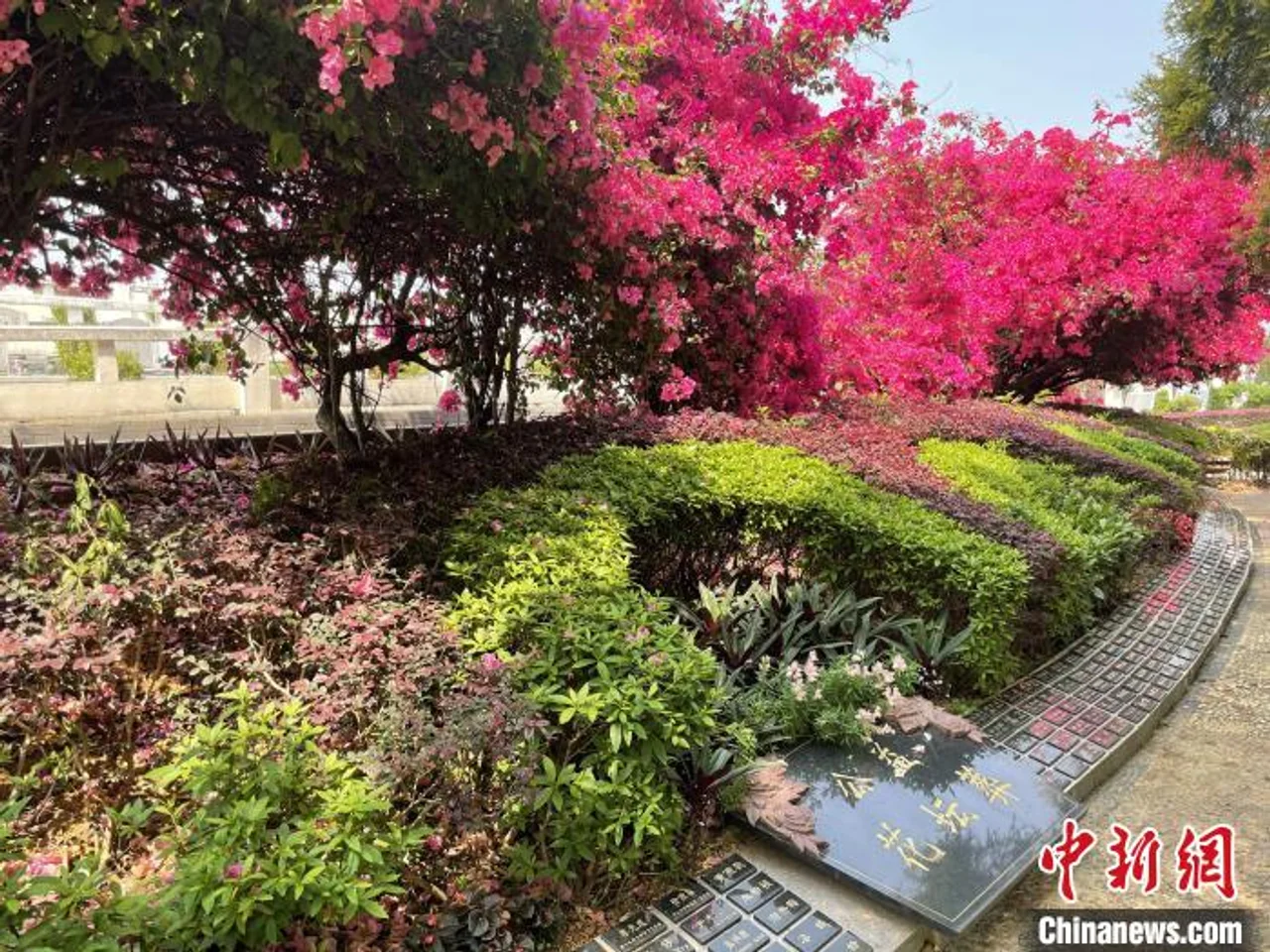 广州清明祭扫实行实名预约 倡导错峰非现场祭扫