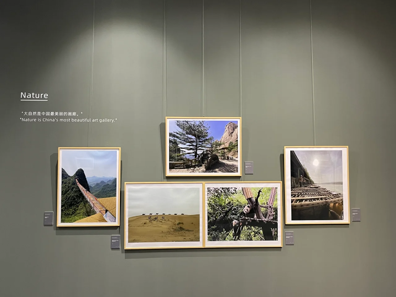 亚太日报 | 巴基斯坦驻华大使举办摄影展记录中国