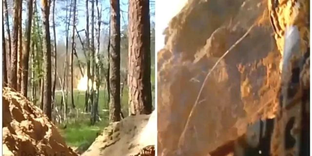 亚太日报 | 常事?俄罗斯坦克向自家阵地开火