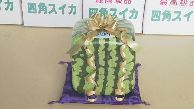 日本方形西瓜上市一个卖600元 日媒：主要用于观赏