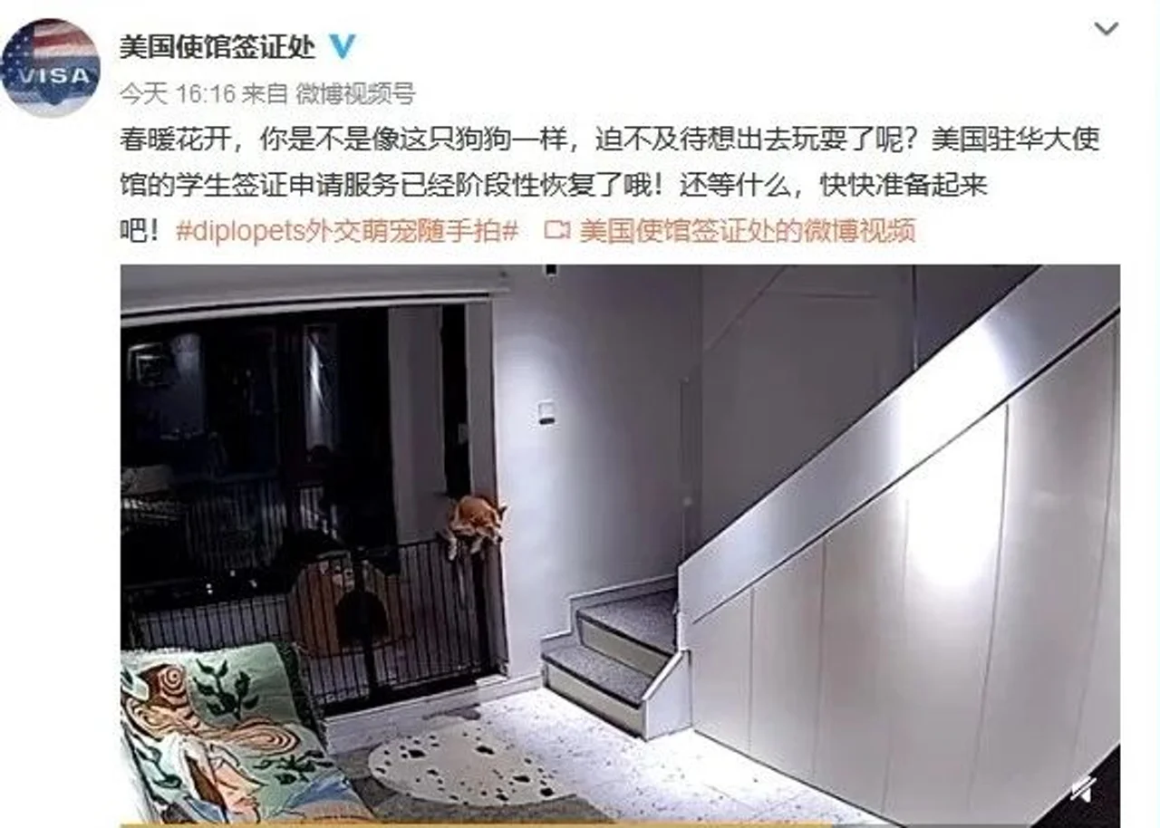 今天不是百年前!美驻华使馆为微博发“狗”论道歉