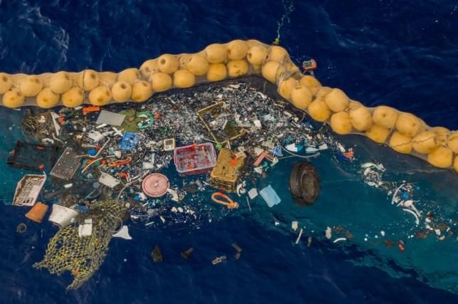 海洋垃圾有望清除？荷兰环保组织推出这一新型“武器”