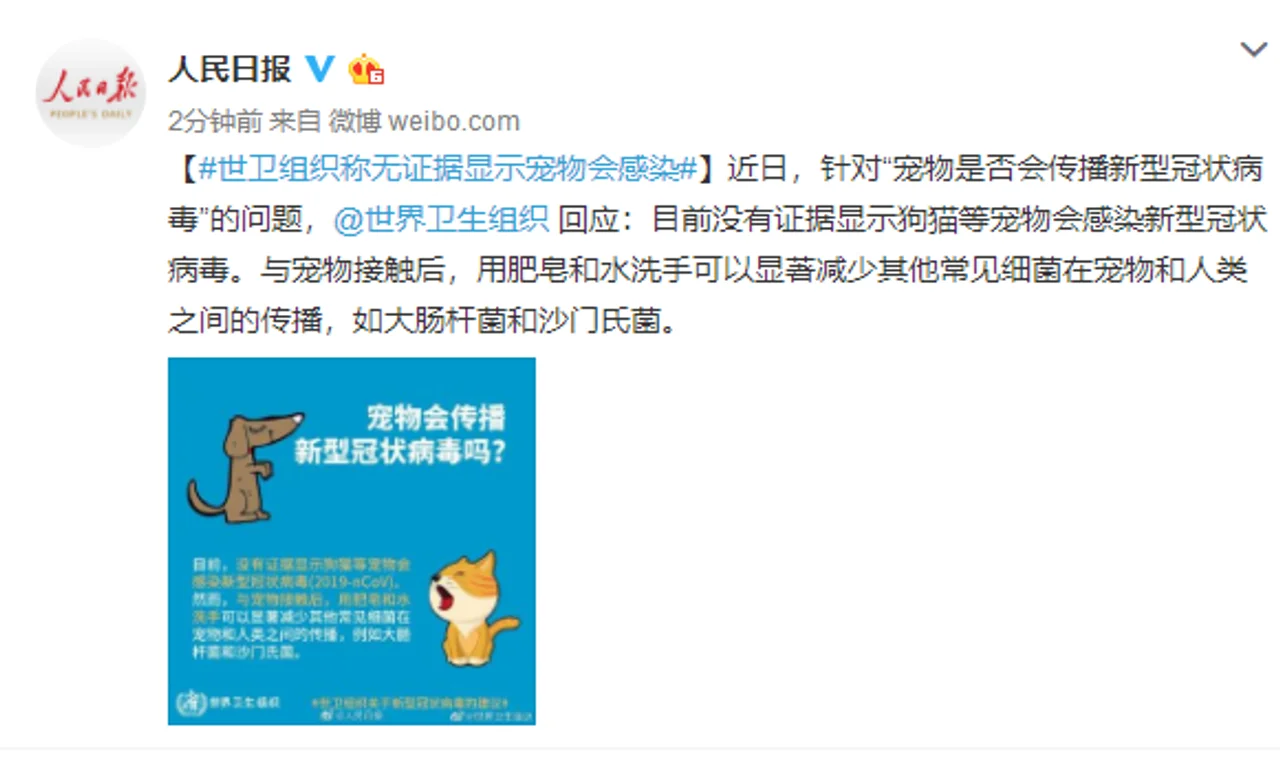 世卫组织:没有证据显示宠物会感染新型冠状病毒
