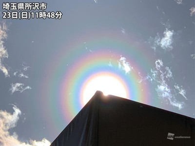 日本花粉季提前进入高峰期：3成民众受困扰 出现“花粉彩虹”