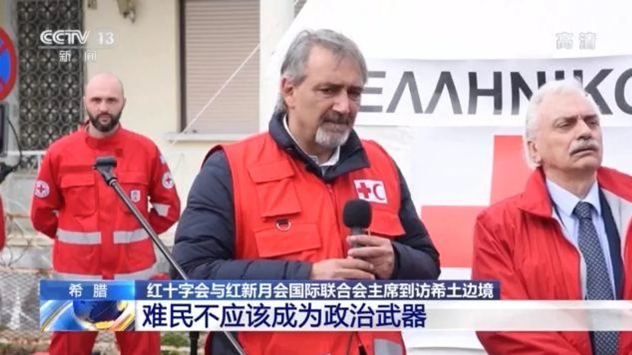 红十字会与红新月会国际联合会主席:难民不应该成为政治武器