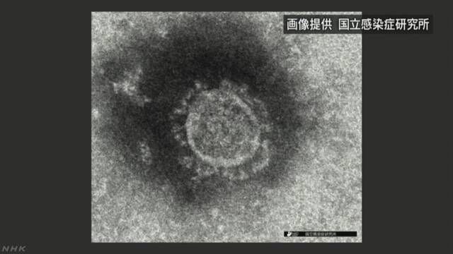 日本旅行团在匈牙利出现疑似感染症状 被集体送医隔离