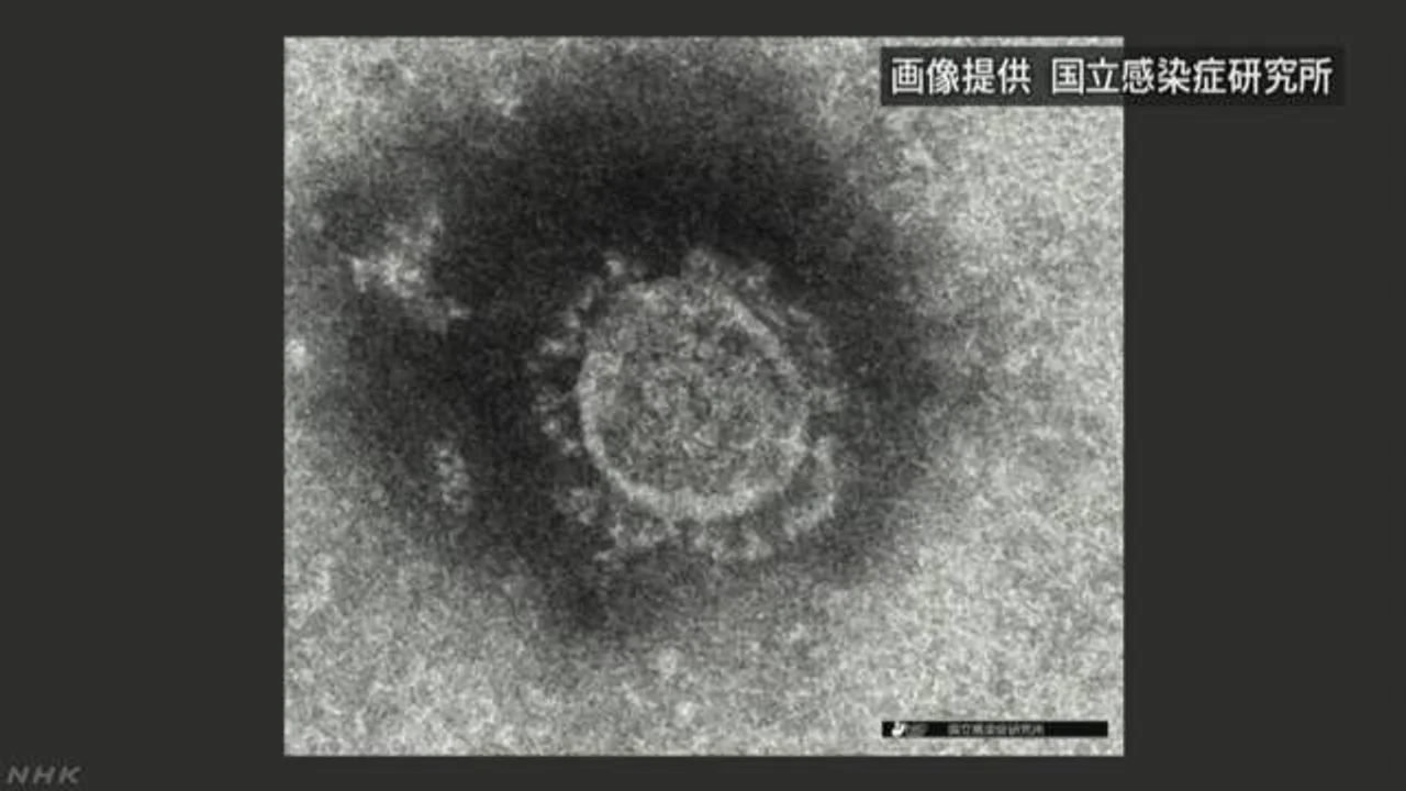 日本旅行团在匈牙利出现疑似感染症状 被集体送医隔离