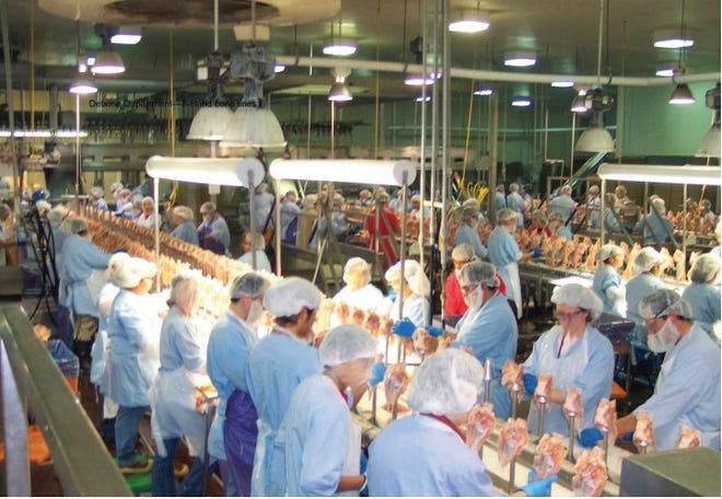 美国肉类加工业周产量同比下降36% 超1万名工人染疫