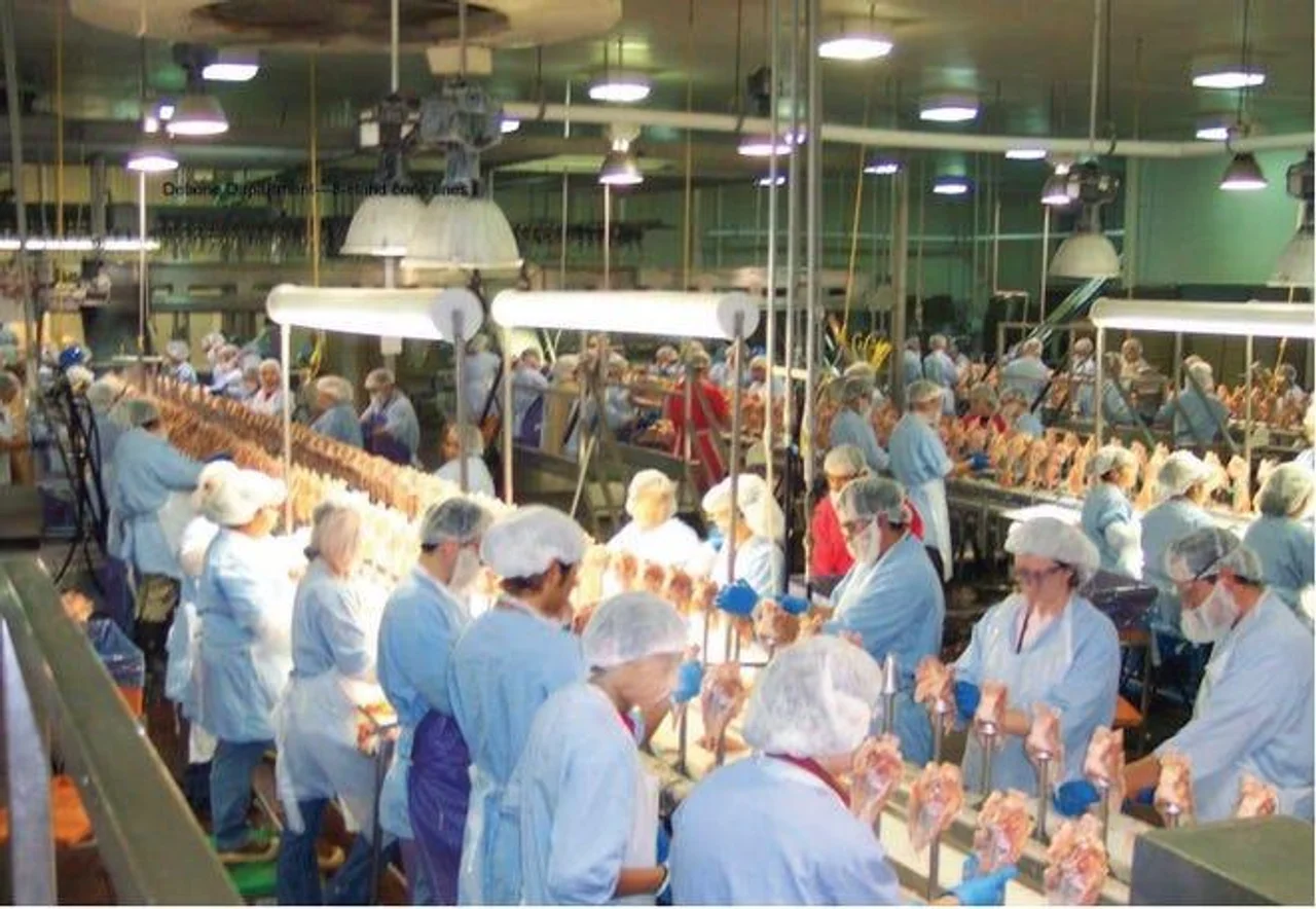 美国肉类加工业周产量同比下降36% 超1万名工人染疫