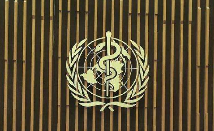 世卫总干事：从遏制转向延缓病毒传播的想法，是错误和危险的
