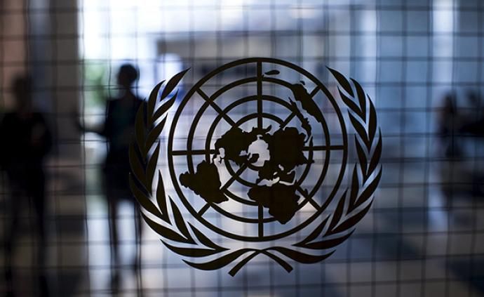 联合国特别报告员声明：呼吁某些国家履行消除种族主义承诺