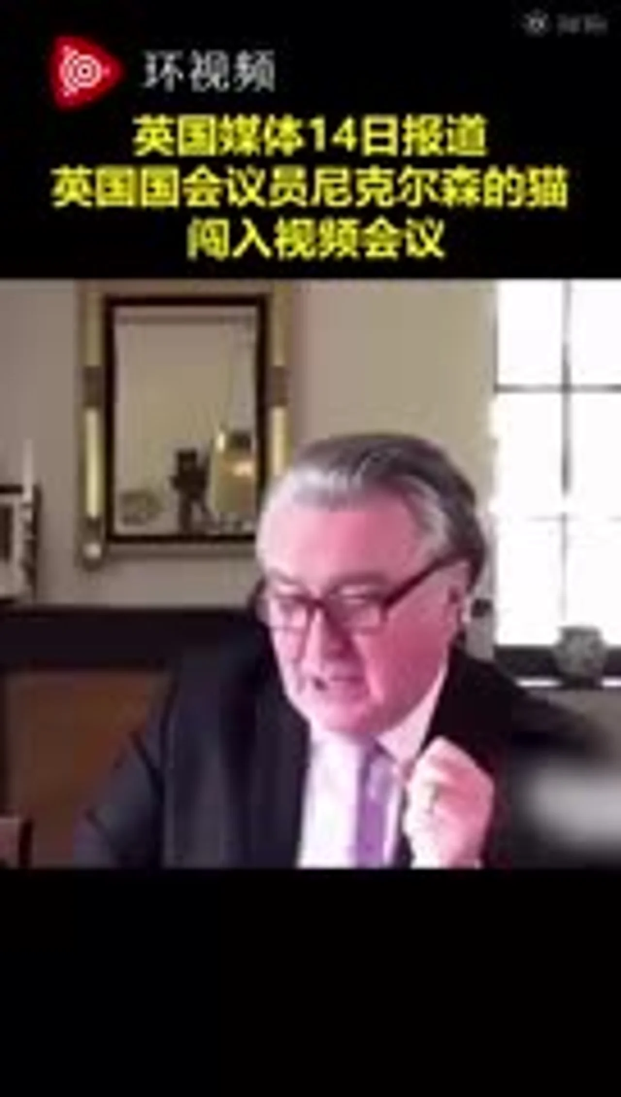英国议员接受采访被猫挡脸:把你尾巴放下来