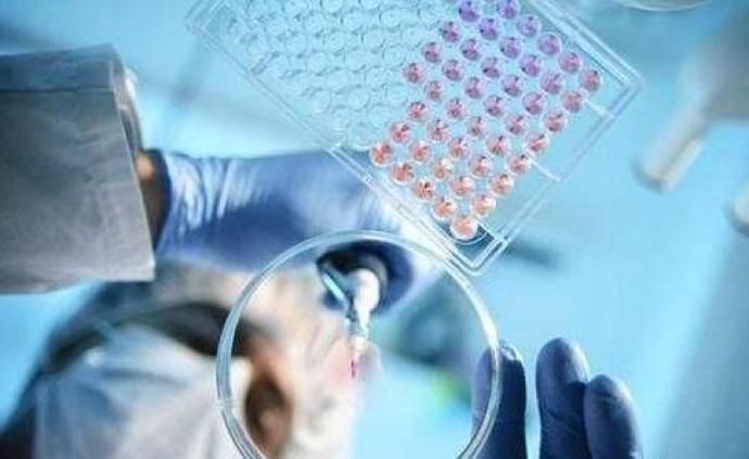 巴西新增新冠肺炎确诊病例21例，已出现社区传播