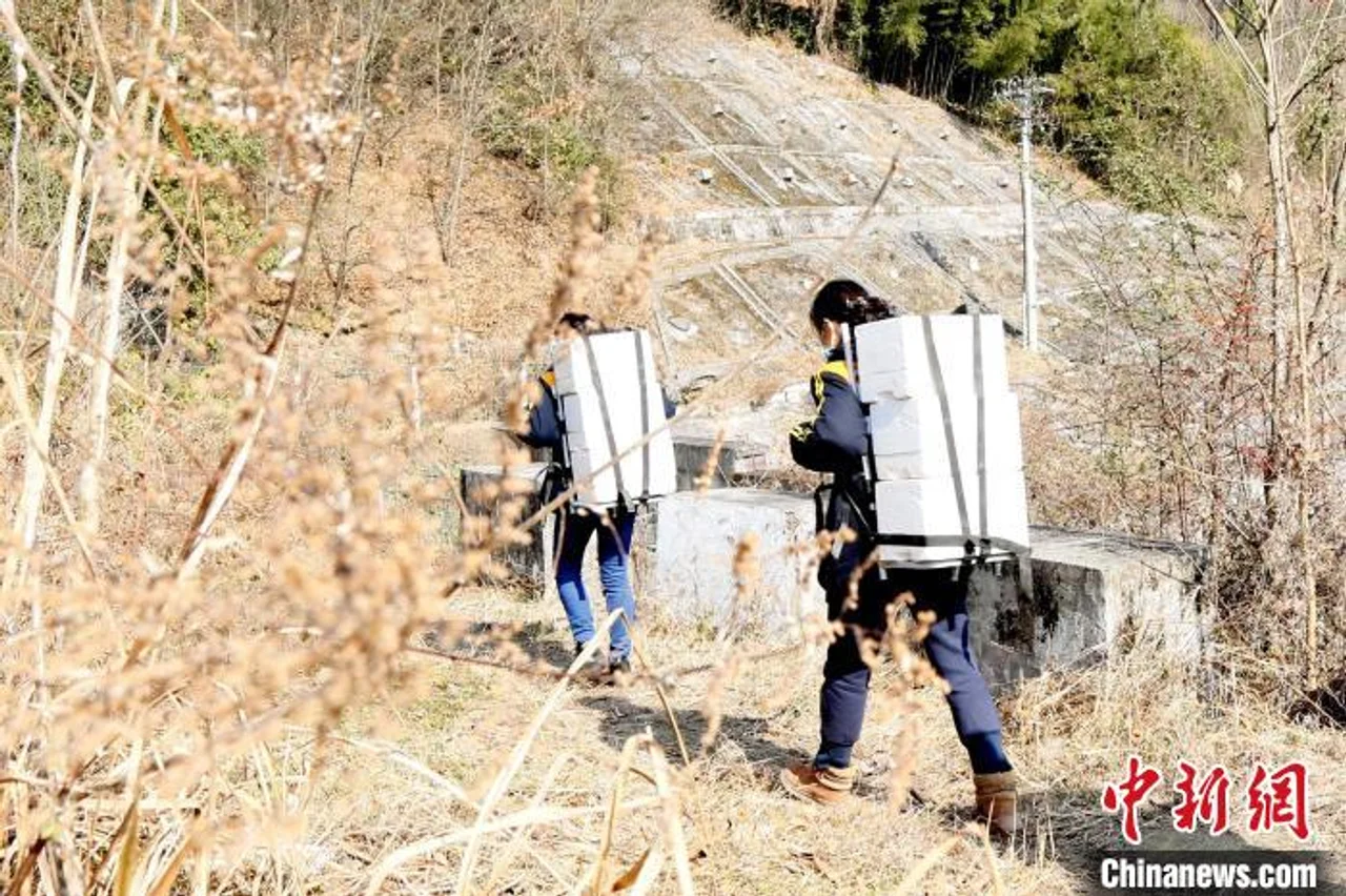 襄渝铁路“快递囡囡”肩扛手抬送“年货”