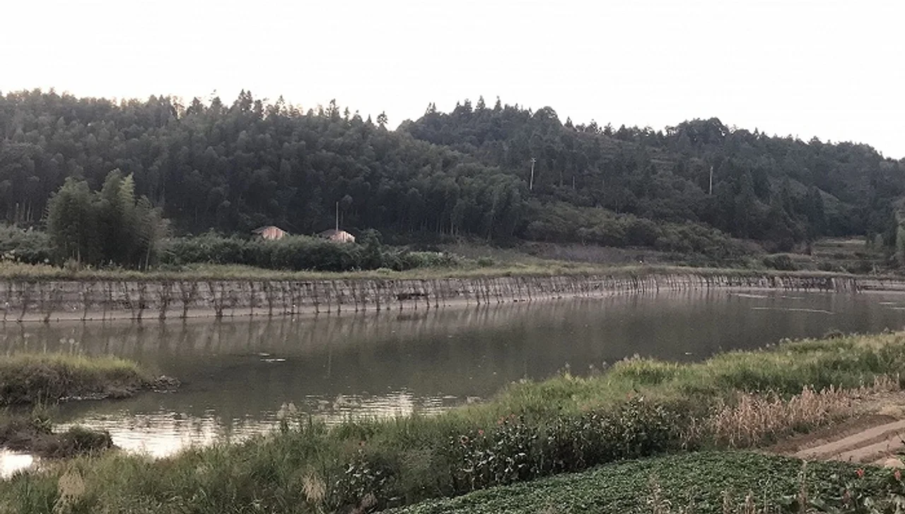 举报竞争对手招标涉嫌造假后获取30万元补助,4人以敲诈勒索罪...