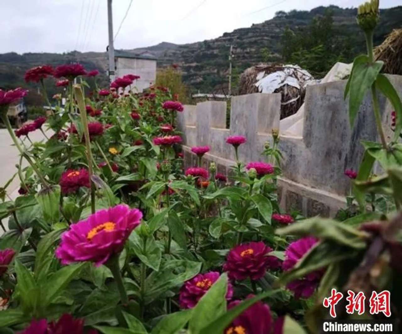 兰州城里娃入村帮扶记:山村当故乡 贫困户是“亲人”