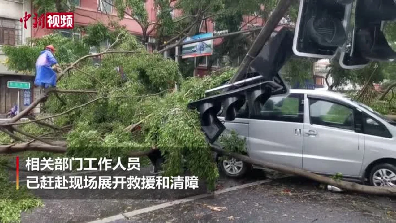 台风“米克拉”致福建近80万户停电 风力减弱降雨仍持续