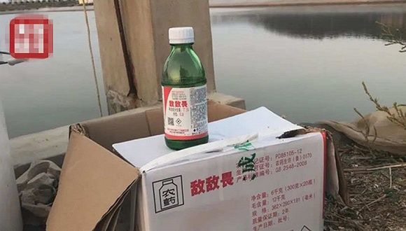 山东即墨回应：部分海参养殖户使用敌敌畏，有当事人被采取强制措...