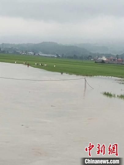 云南盈江6万人因持续降雨受灾 直接经济损失逾2亿元