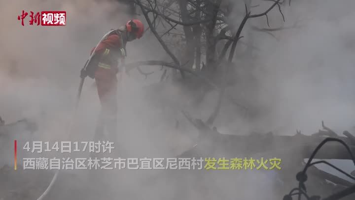 西藏林芝森林火灾明火已扑灭 起火原因正调查