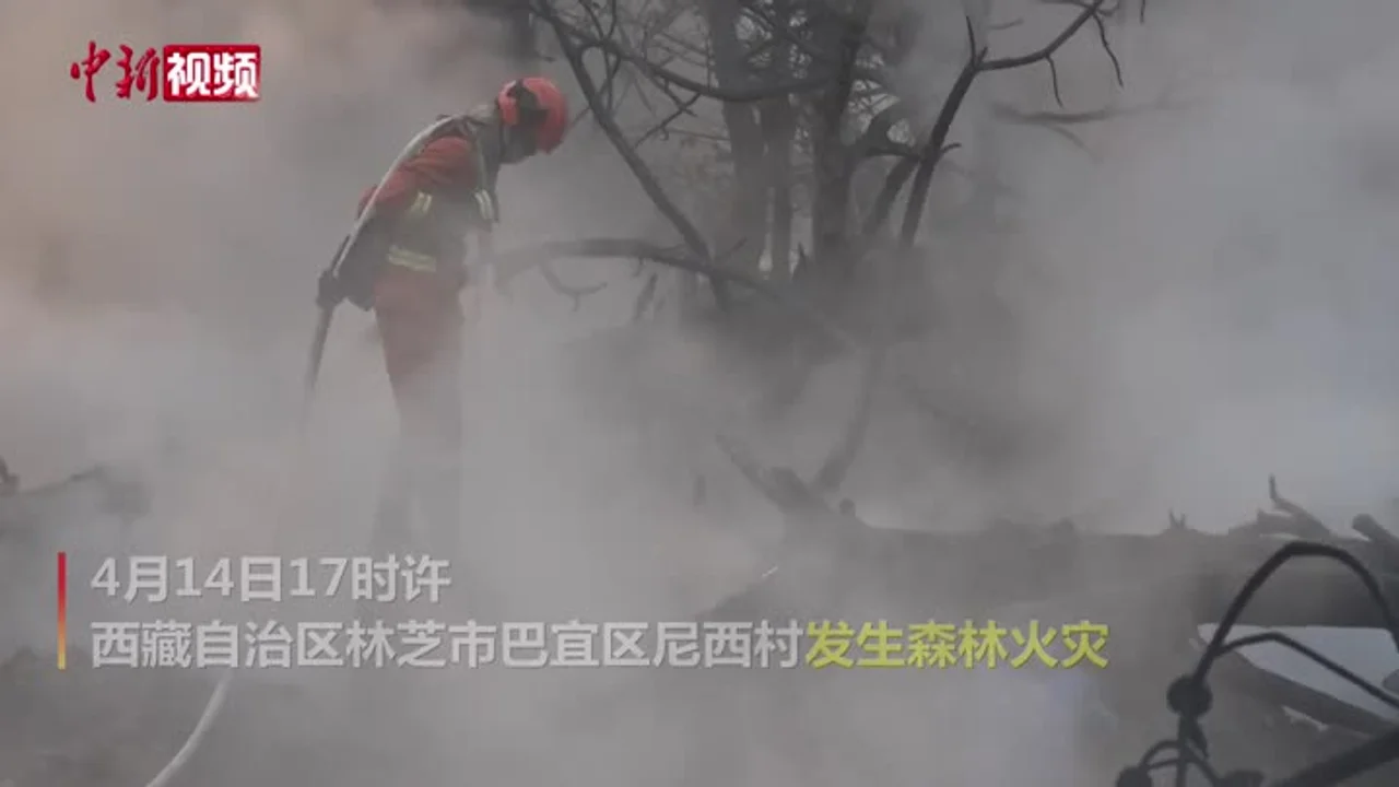 西藏林芝森林火灾明火已扑灭 起火原因正调查