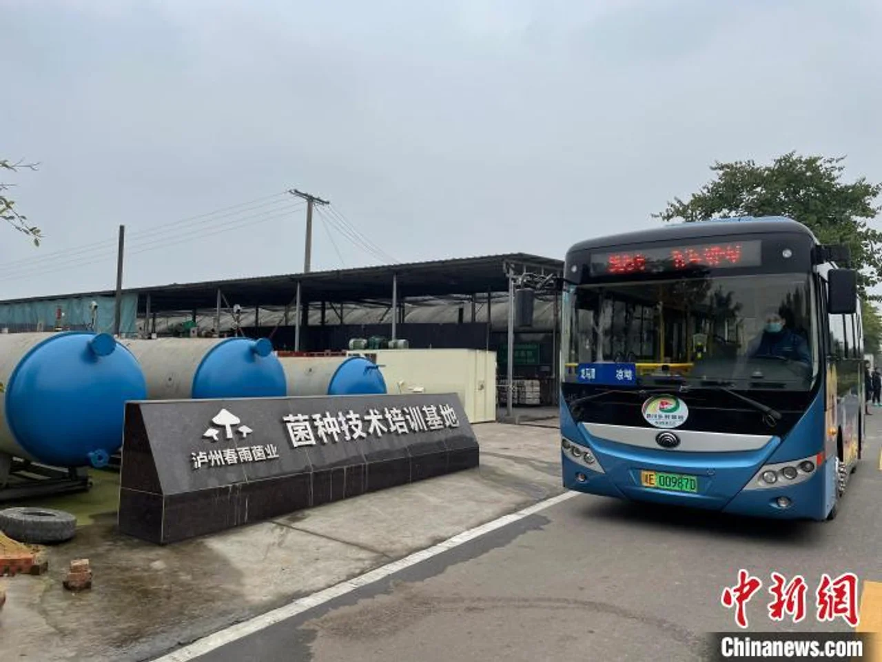 探访四川乡村运输“金通工程”:“金通+”助力乡村振兴