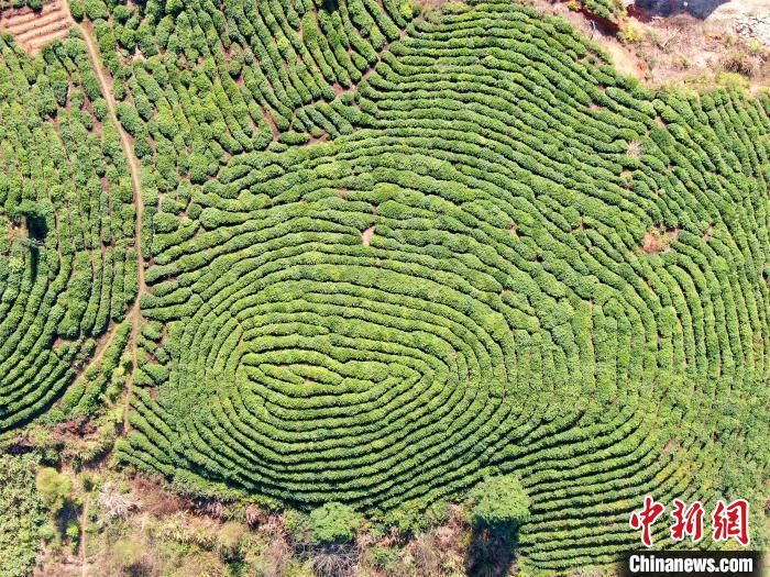 江西将试行周末2.5天弹性作息 鼓励干部职工带头旅游消费