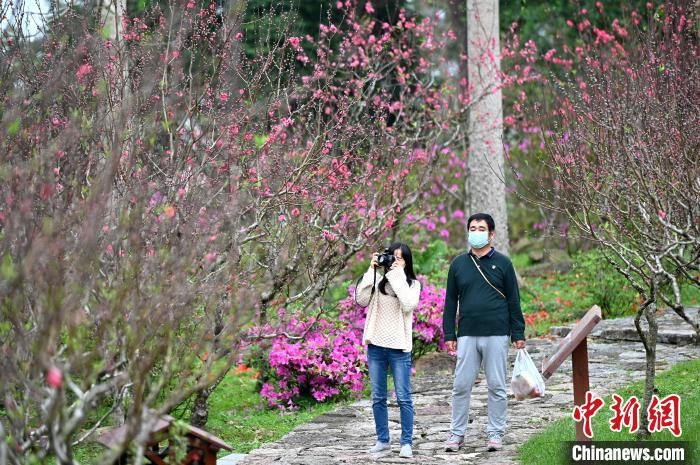 广西半数城市病例“清零” 景区陆续开放引游客