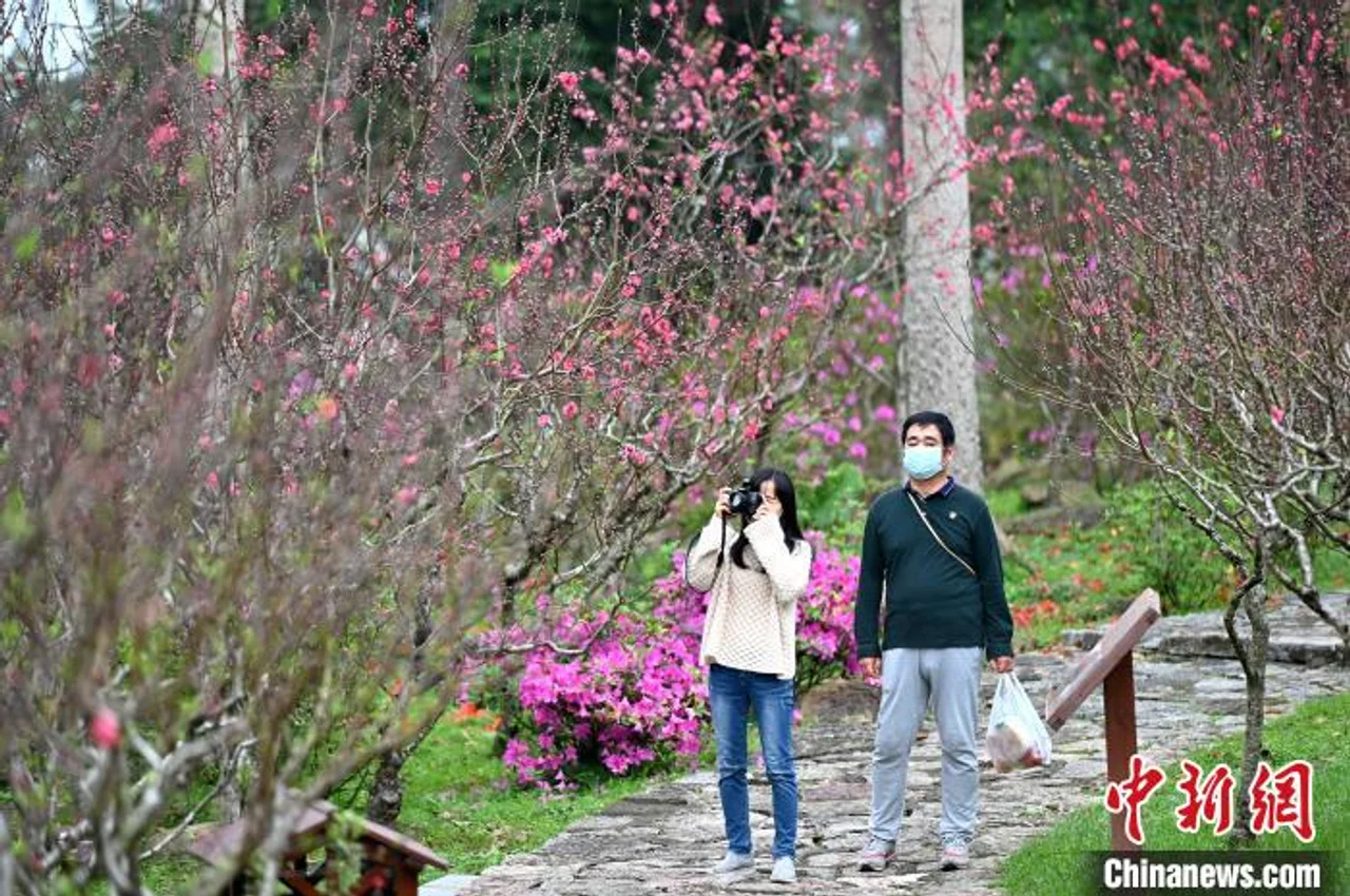 广西半数城市病例“清零” 景区陆续开放引游客