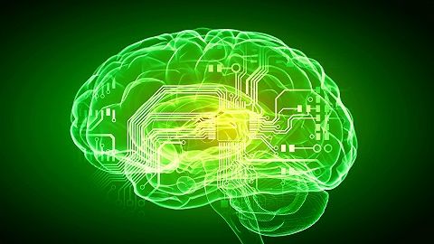 脑科学是下一个风口？马斯克已入局，脑机接口设备即将人体测试