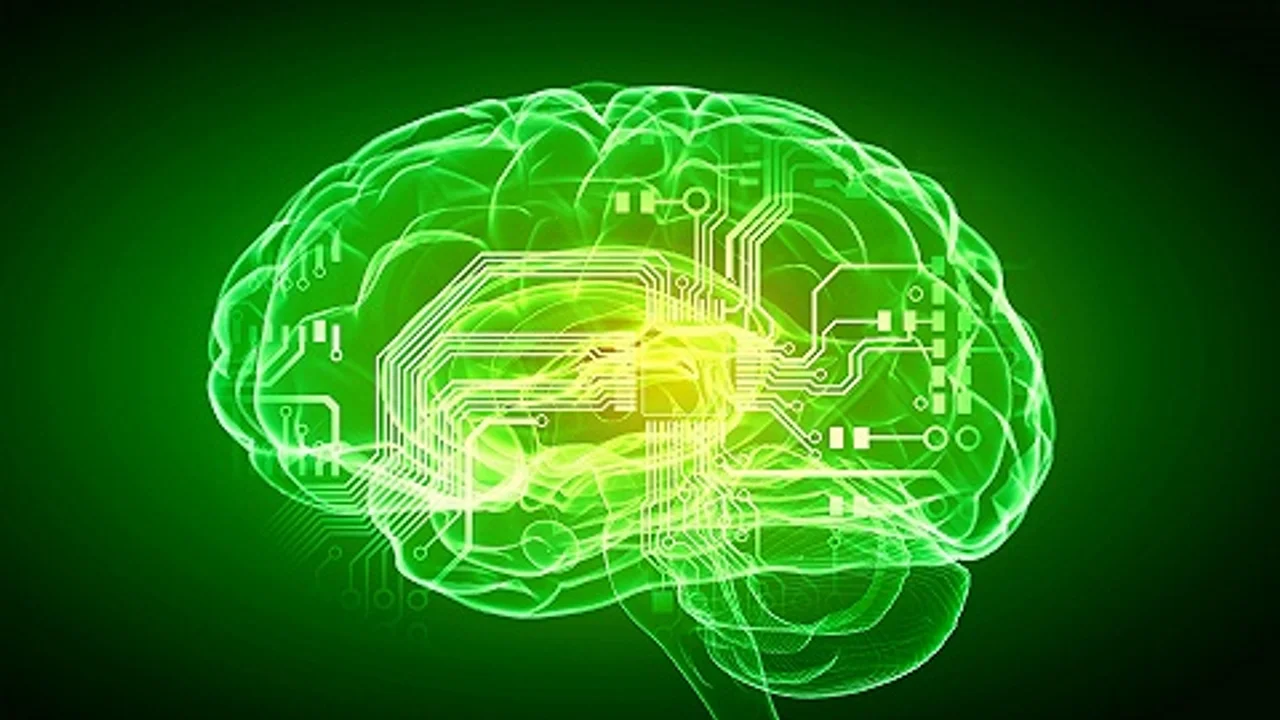 脑科学是下一个风口?马斯克已入局,脑机接口设备即将人体测试