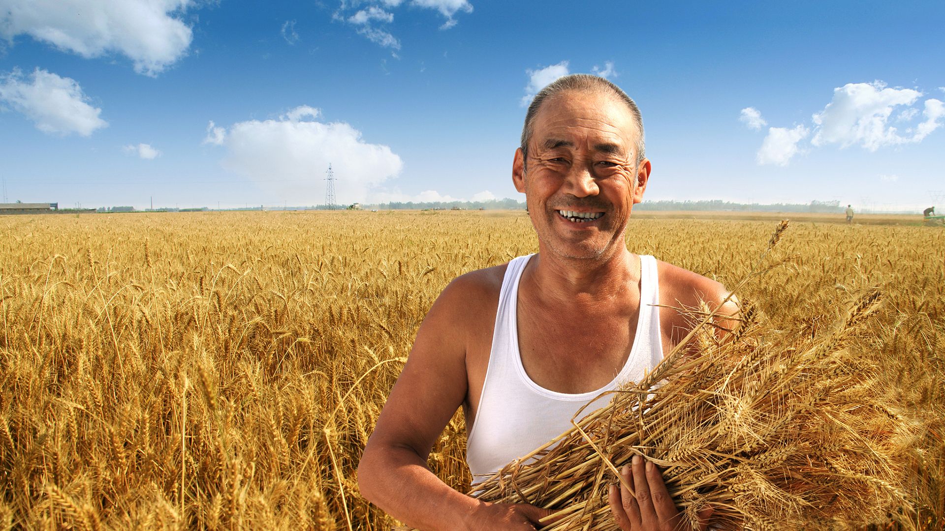 China rural development plan
