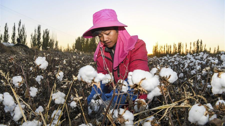 What lessons can foreign companies learn from Xinjiang cotton episode?