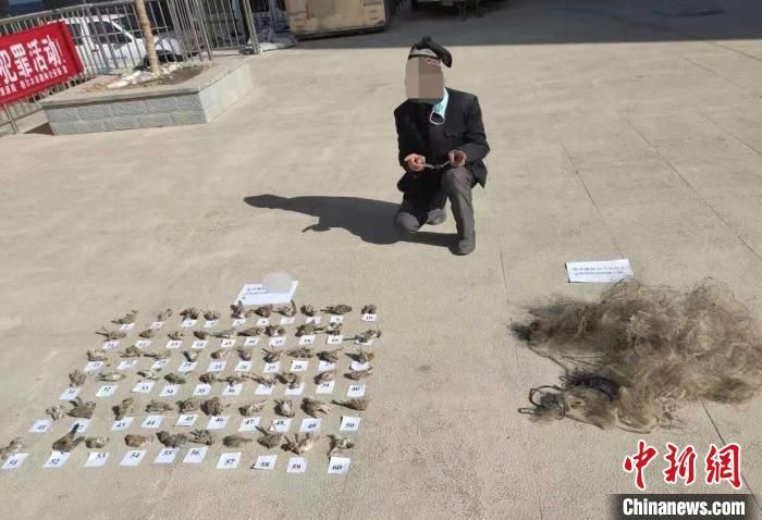 青海格尔木破获一起非法狩猎国家陆生野生动物案