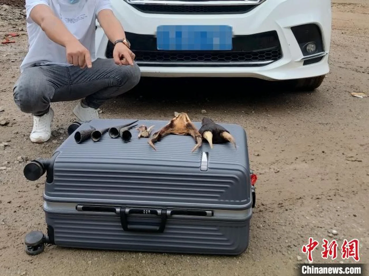 云南临沧破获一起危害珍贵、濒危野生动物制品案