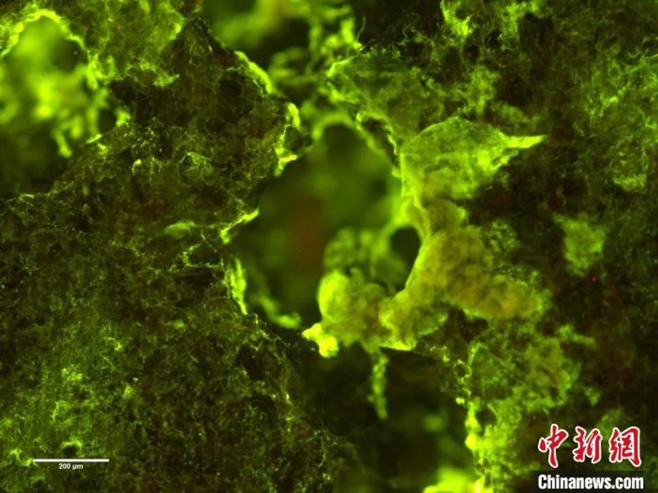 国际最新研究:微生物可在太空中“采矿”