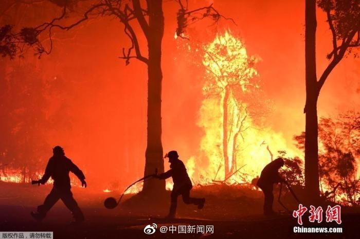 不仅是天灾？澳大利亚超180人因涉嫌纵火被捕