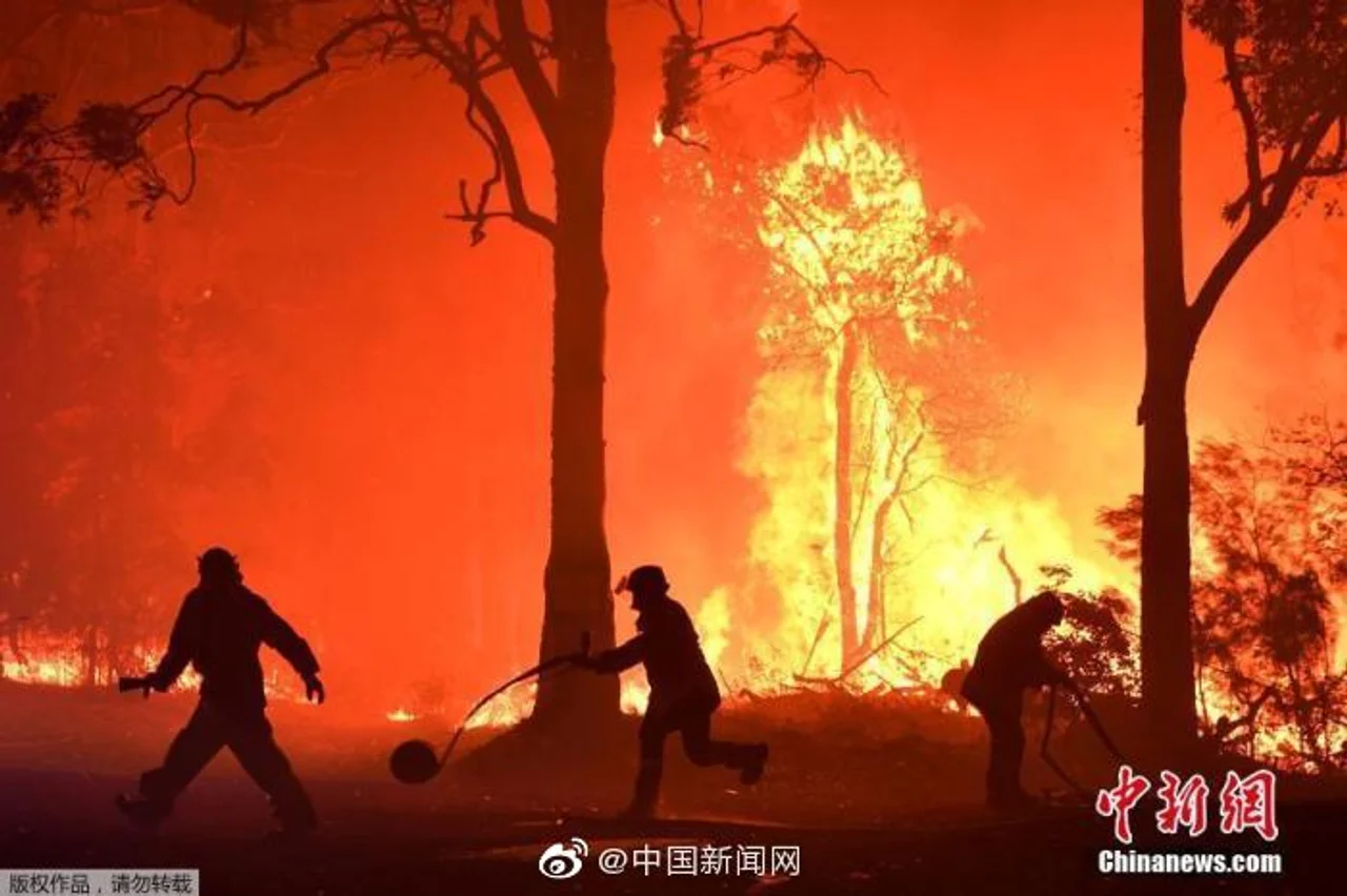 不仅是天灾?澳大利亚超180人因涉嫌纵火被捕