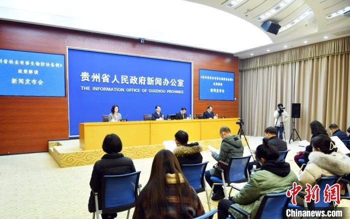 林业有害生物如何防治？贵州出台条例维护生态安全