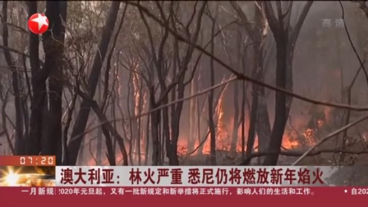林火围城、染红天空：跨年夜4000人被困澳海滩(图)