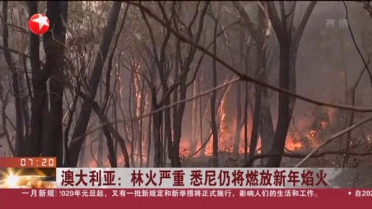 林火围城、染红天空:跨年夜4000人被困澳海滩(图)