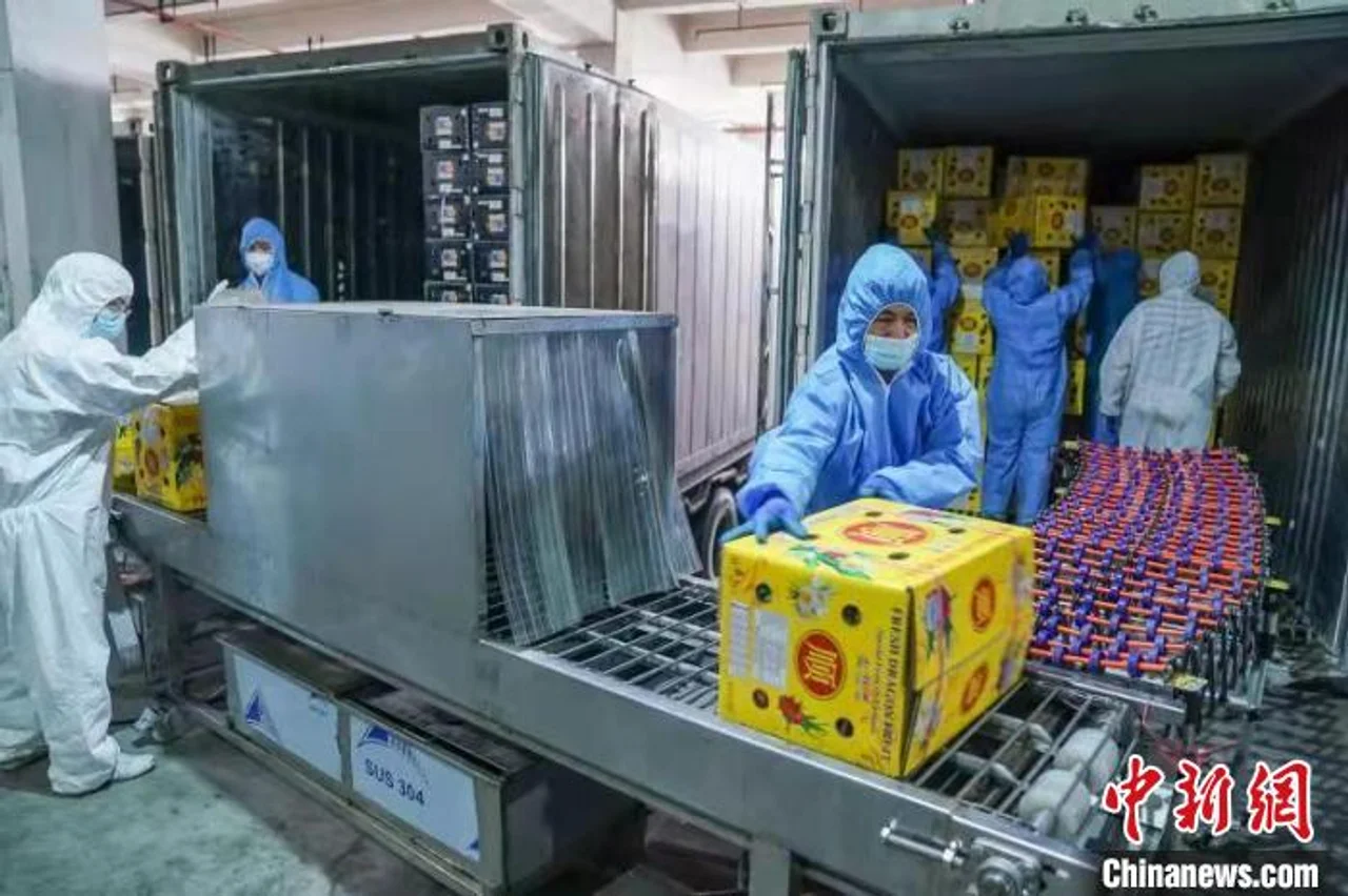 广西发布“十严格”措施强化边境疫情防控