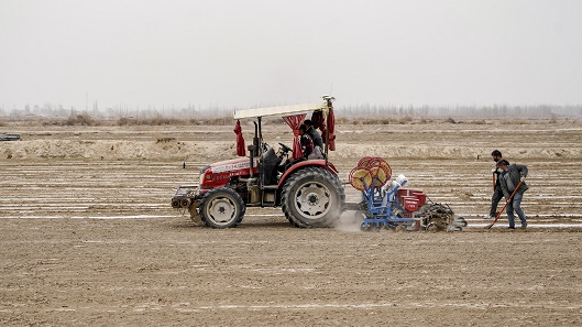 外媒记者实地走访还新疆棉清白